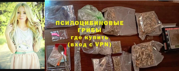 мескалин Богородицк