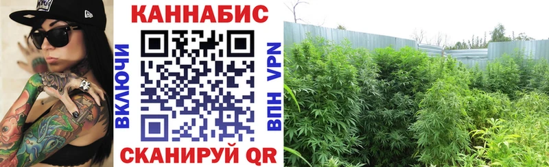 Каннабис план  Купить  Лебедянь 